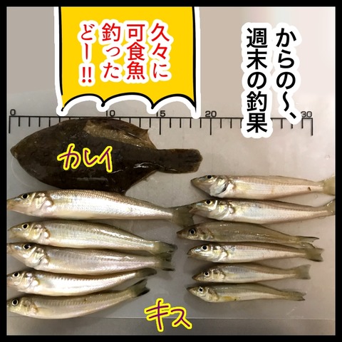 58F468C7-BACB-431A-9748-37E24C7D33B8