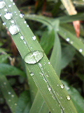 25605db7.jpg