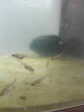 d5c90513.jpg