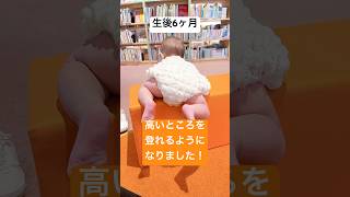 【動画】【桃尻】　生後6ヶ月さえまる、高いところを登れるようになりました！　【育児ログ】 #赤ちゃんのいる生活 #赤ちゃん #あかちゃん #赤ちゃんのいる暮らし #baby #育児 #子育て #shorts