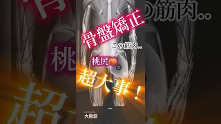 【動画】#骨盤矯正 #腰痛改善 #桃尻 はココ鍛えて