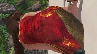 【動画】【DOAX3 縦動画】レイファン 背面騎乗位【Leifang】