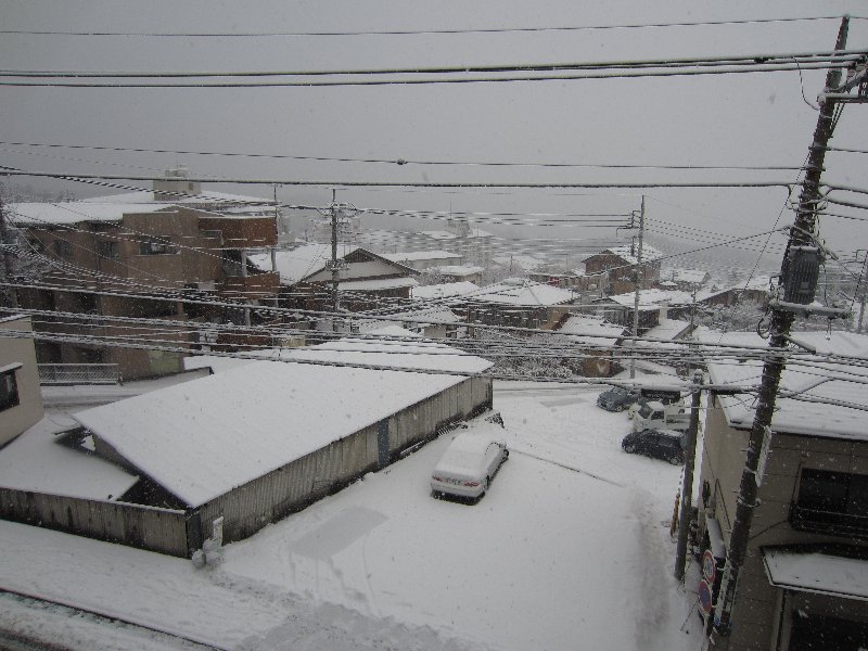 伊香保温泉からの脱出 Rosso E Azzurro F355gts 156gta ﾀﾞｲｱﾘｰ