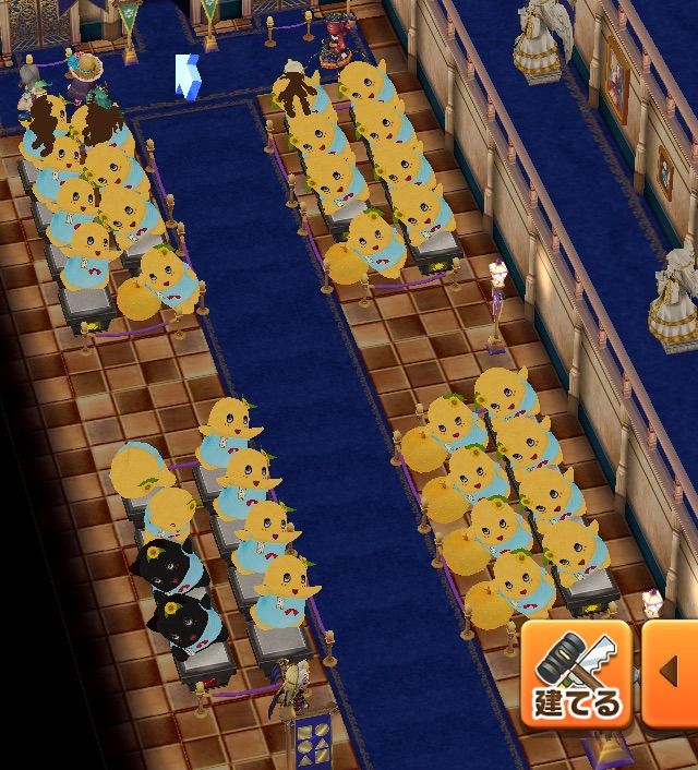 白猫 待ちに待ったコレクションルーム ぷるるの白猫日記 白猫 待ちに待ったコレクションルーム ぷるるの白猫日記