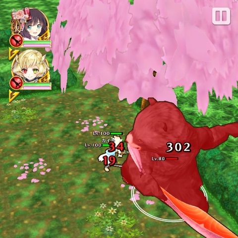 白猫 H Hコラボ カイト編 ぷるるの白猫日記