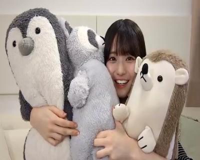 ぬいぐるみに埋もれる瀬戸口心月ちゃんが可愛すぎる！！！【乃木坂46】