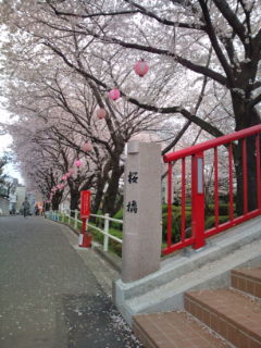 桜坂