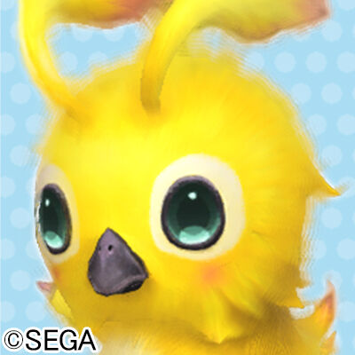 rappy03_c