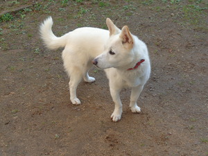 DSC06258.JP アップ