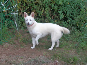 DSC04552 (1) アップ