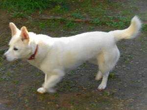 DSC05447 (1) アップ