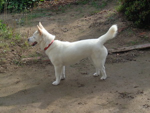 DSC00037.JPG アップ