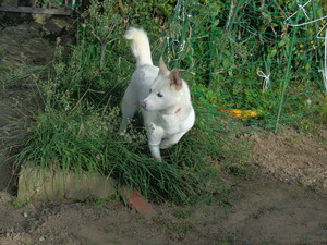 DSC04874.JPG アップ