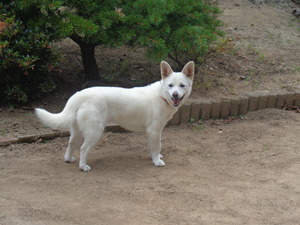 DSC09505.JPG アップ