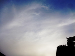 DSC05404 (1) 7:05 アップ