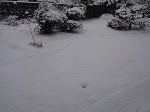 DSC09636.JPG 7:40