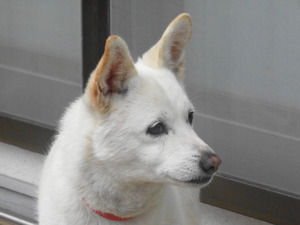 DSC08781.JPG アップ 15:48 (1)