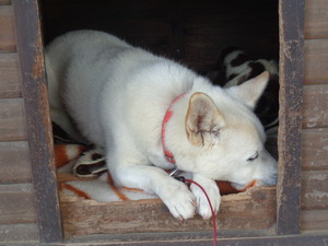 DSC05551 (1) 7:51 もう寝るんですか?