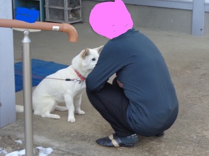 DSC08052.JPG 8:54 お座り (1)_LI