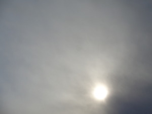 DSC08061.JPG 14:41 冬の太陽