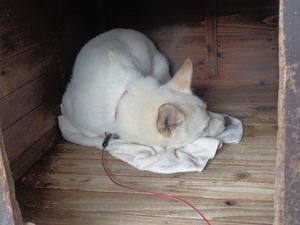 DSC03984.JPG 7:40 アップ