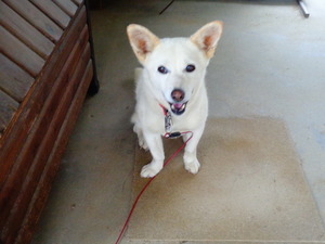DSC02359.JPG ニコニコ