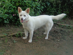 DSC03995.JPG アップ