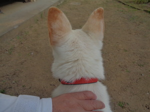 DSC04881.JPG アップ
