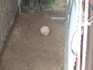DSC03225.JPG なぜ石が?