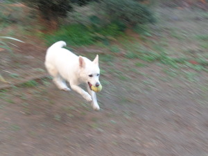 DSC06255.JPG アップ