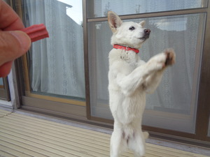 DSC00048.JPG アップ 16:26