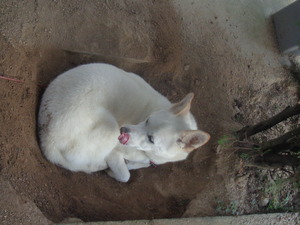 DSC03199.JPG 置きようかな