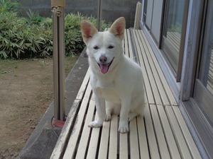 DSC04555.JPG アップ