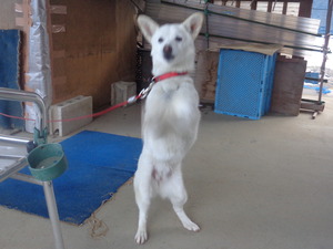 DSC09675.JPG アップ 15:59 (1)