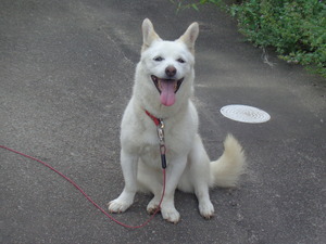 DSC03249.JPG アップ