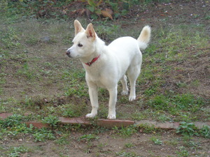DSC05577 (1) アップ