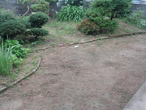 DSC02324.JPG 6:31 庭が使える