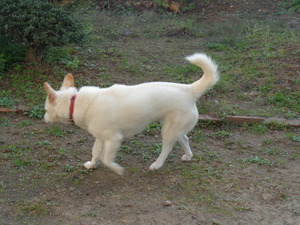 DSC05560.JPG 15:40 アップ