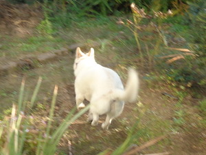 DSC05423 (1) アップ