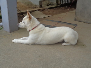 DSC03986.JPG 10:20 起きた