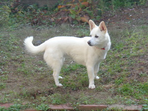 DSC05576 (1) アップ