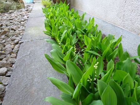 P1000430