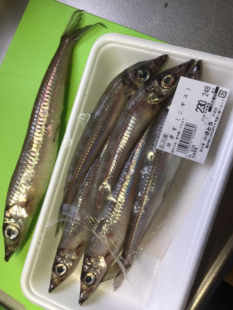 珍魚料理 スーパーで深海魚買って食べてみた メギス ぷてらぽごんのお魚レポート 水族館ブログ 珍魚料理 スーパーで深海魚買って食べてみた メギス ぷてらぽごんのお魚レポート 水族館ブログ