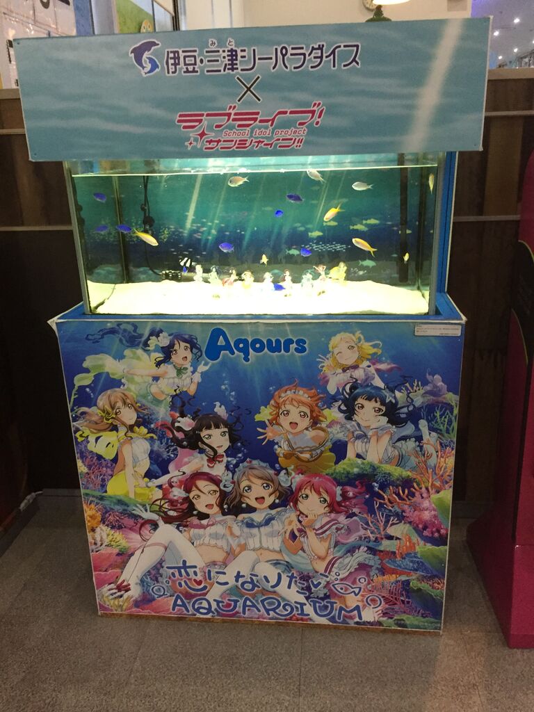伊豆三津シーパラダイス 静岡 海獣展示の原点 ぷてらぽごんのお魚レポート 水族館ブログ 伊豆三津シーパラダイス 静岡 海獣展示の原点 ぷてらぽごんのお魚レポート 水族館ブログ