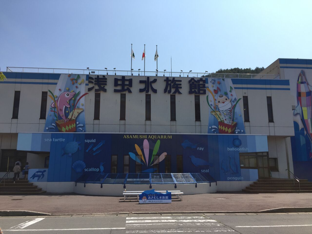 浅虫水族館 青森 本州最北の地で極上のイルカショーを見る ぷてらぽごんのお魚レポート 水族館ブログ 浅虫水族館 青森 本州最北の地で極上のイルカショーを見る ぷてらぽごんのお魚レポート 水族館ブログ