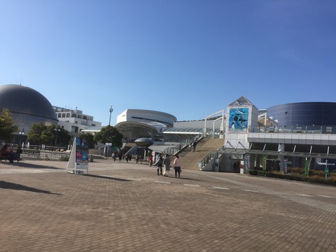 名古屋港水族館 愛知 日本一オススメできる水族館 ぷてらぽごんのお魚レポート 水族館ブログ