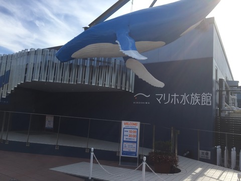 マリホ水族館 広島 広島の新人気鋭 ぷてらぽごんのお魚レポート 水族館ブログ