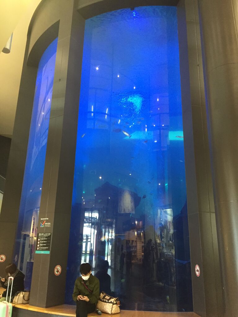 マリンワールド海の中道 福岡 九州最大の水族館 ぷてらぽごんのお魚レポート 水族館ブログ