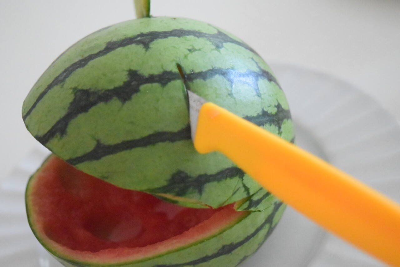 最新デザインの スイカお団子 かえる Atak Com Br