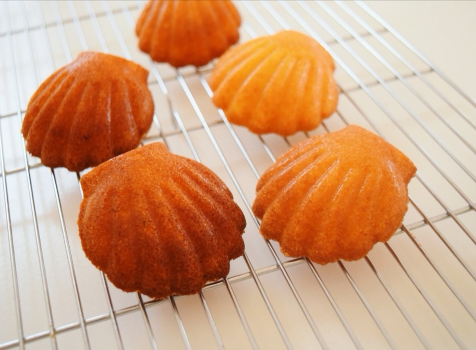 クオカ 新品 ホタテ型製菓型6個 クオカ 使用品 マドレーヌ型8個 シリコン